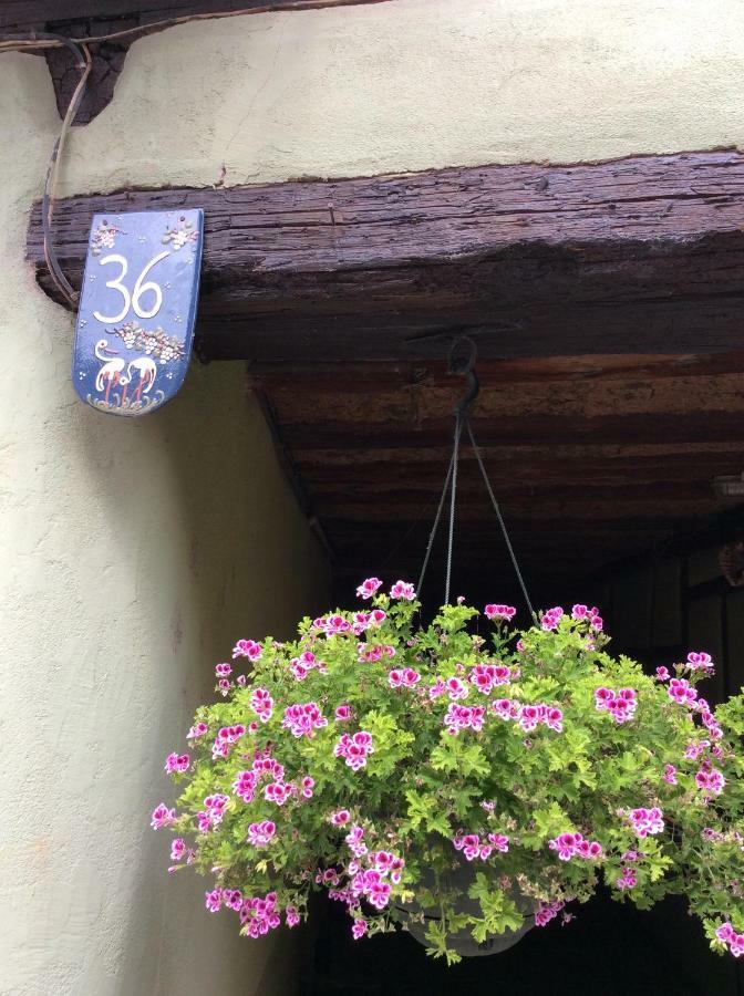 Huna'Gite Hunawihr Exteriör bild